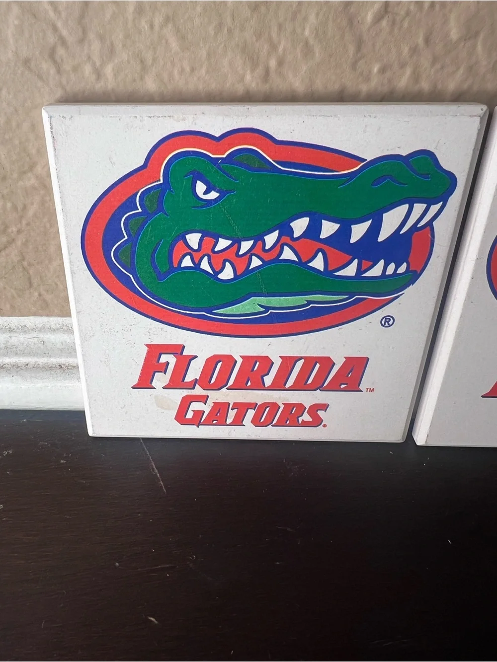 Florida Gators vintage florida